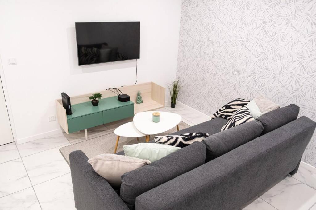 Appartement Renove - Wifi - Jardin - Centre De Niort Kültér fotó