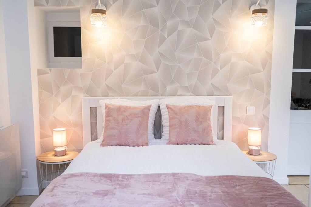 Appartement Renove - Wifi - Jardin - Centre De Niort Kültér fotó