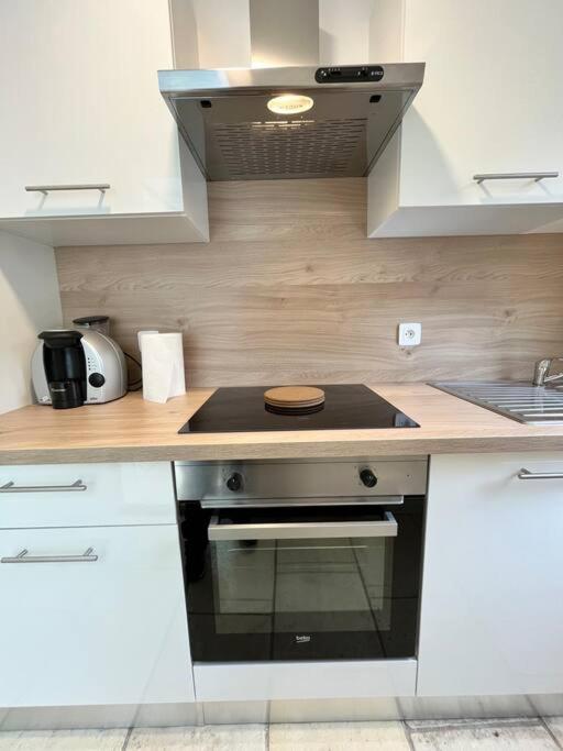 Appartement Renove - Wifi - Jardin - Centre De Niort Kültér fotó
